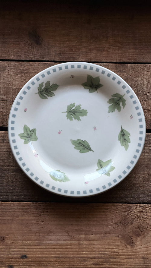 A white ceramic plate with a green leaf pattern and a gray checkered border, placed on a rustic wooden surface.