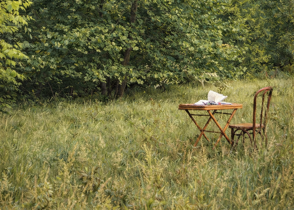 Wooden table and chair in a grassy field with trees in the background