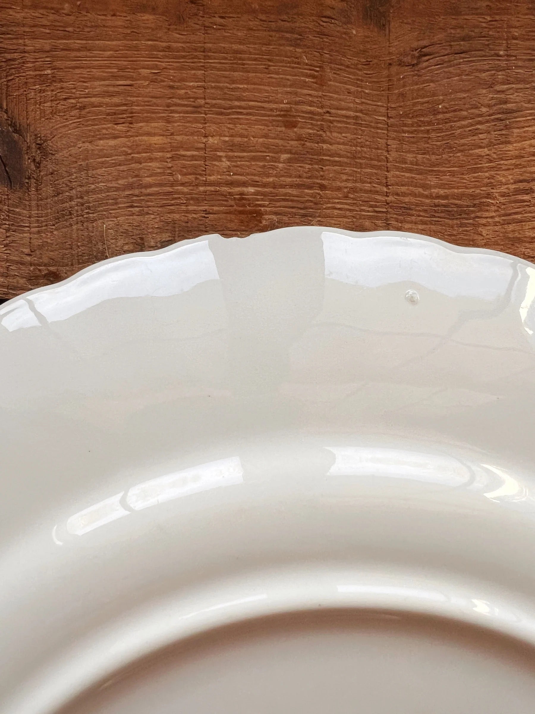 Small underside edge chip detail on vintage Johnson Brothers Regency dinner plate
