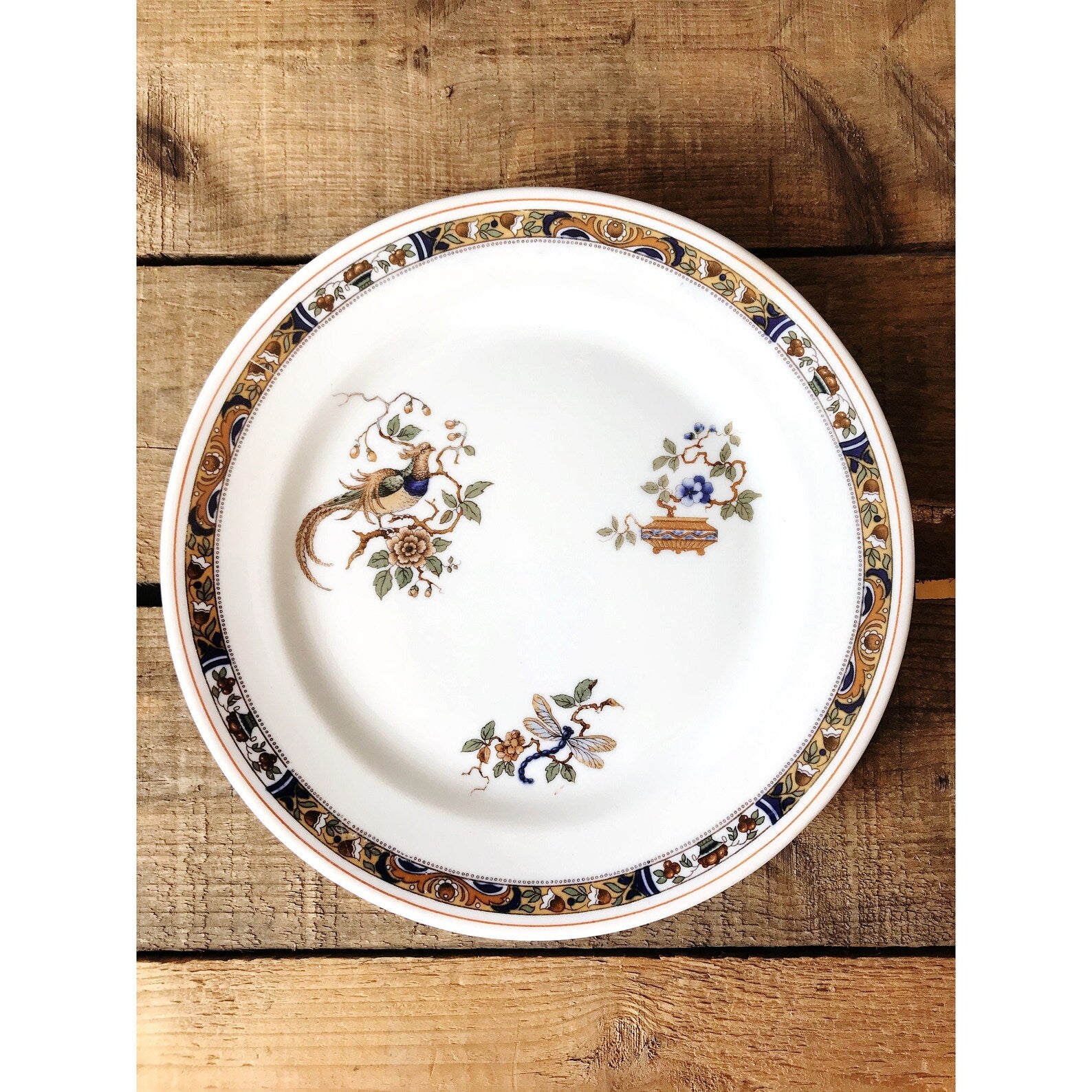 vintage plate with bird of paradise pattern