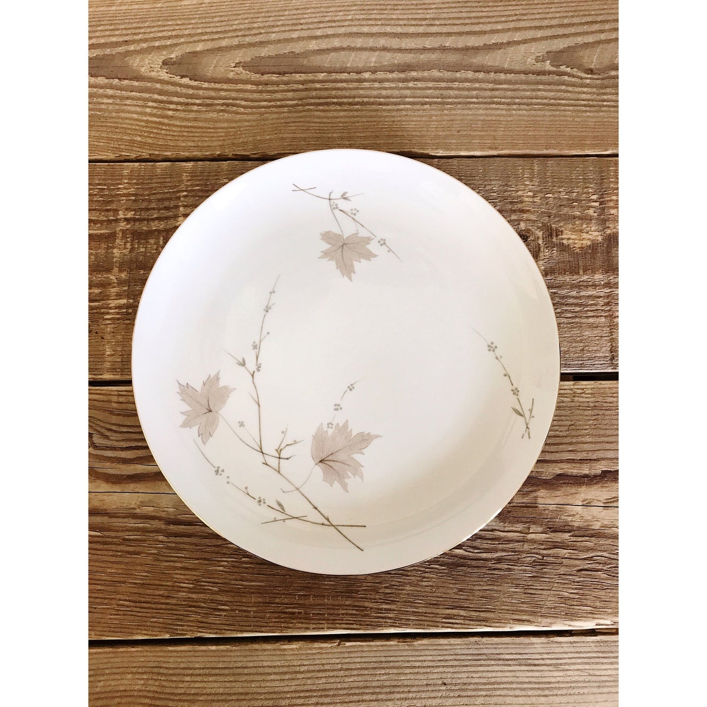 Vintage Lovely China Nancy Dinner Plate