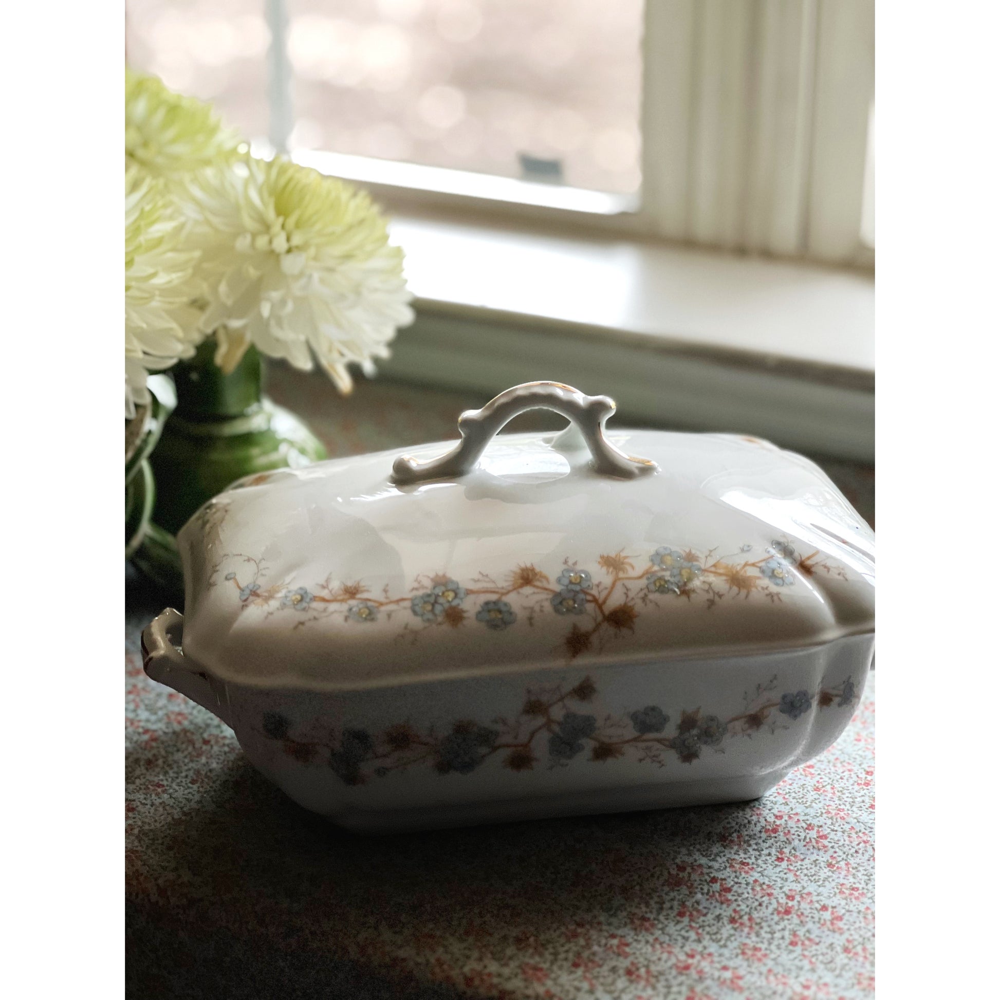 Hand Painted Vintage Altrohla Austria Covered Vegetable Dish / Tureen
