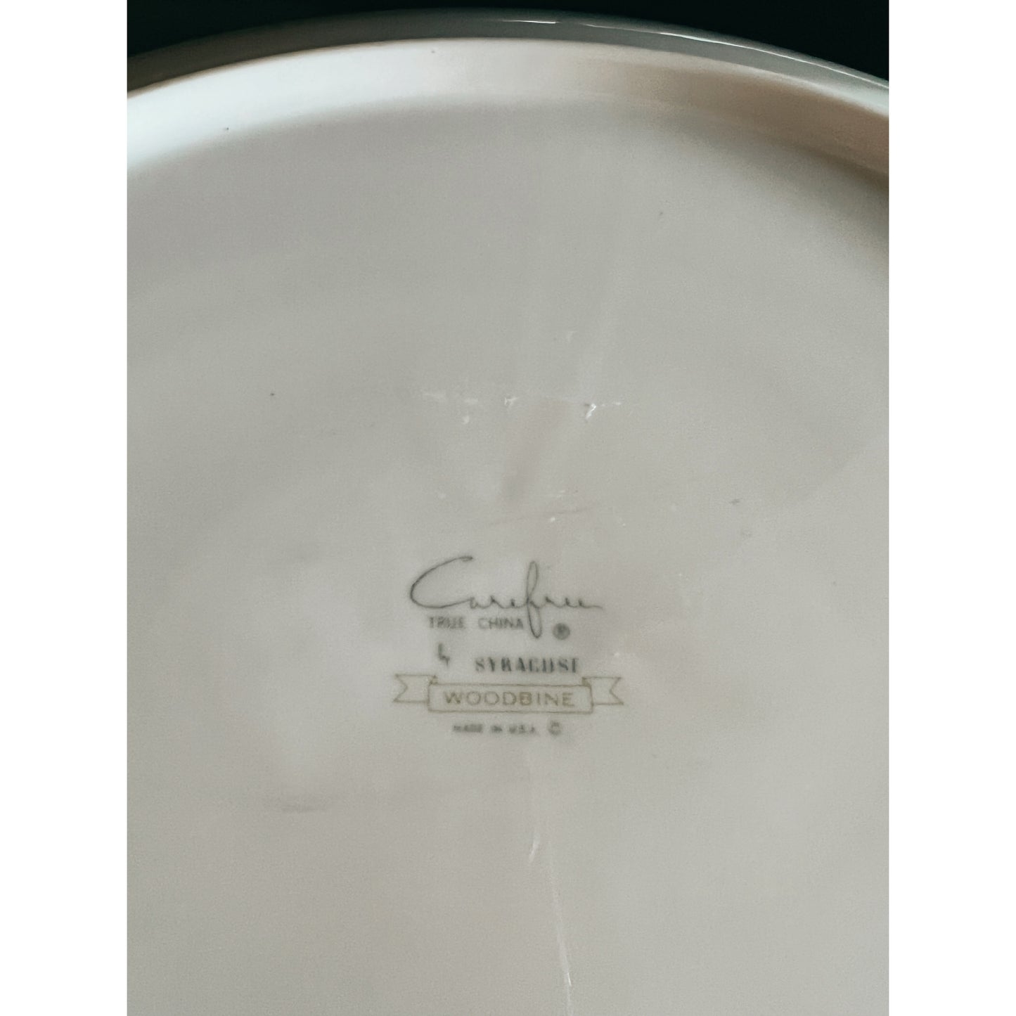 Vintage Syracuse China Woodbine Oval Platter