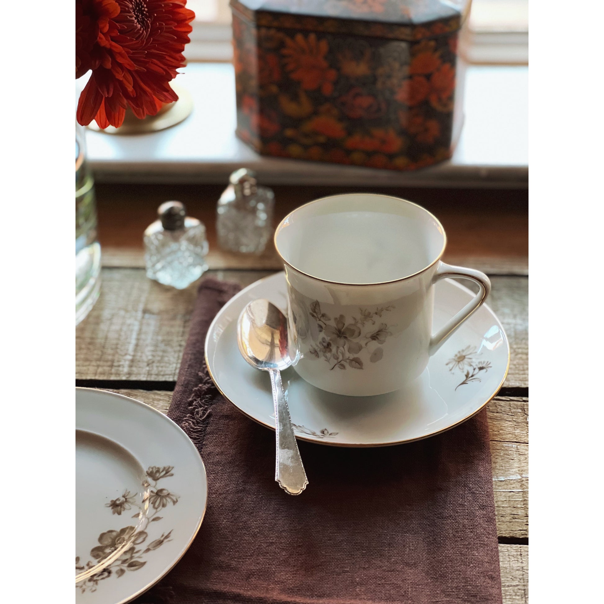 Johann Haviland Bavaria Twilight Rose Cup & Saucer Set
