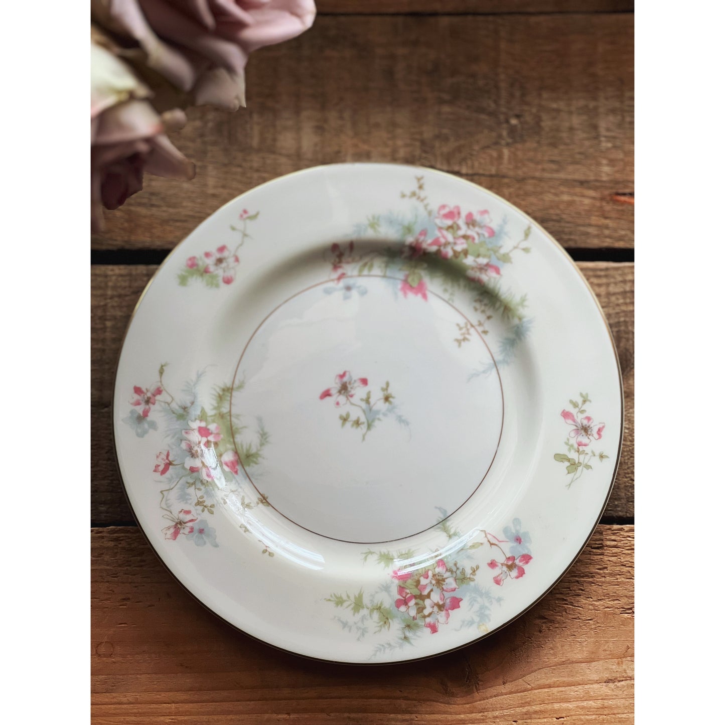 Set of 4 Vintage Theodore Haviland New York Apple Blossom Salad Plates