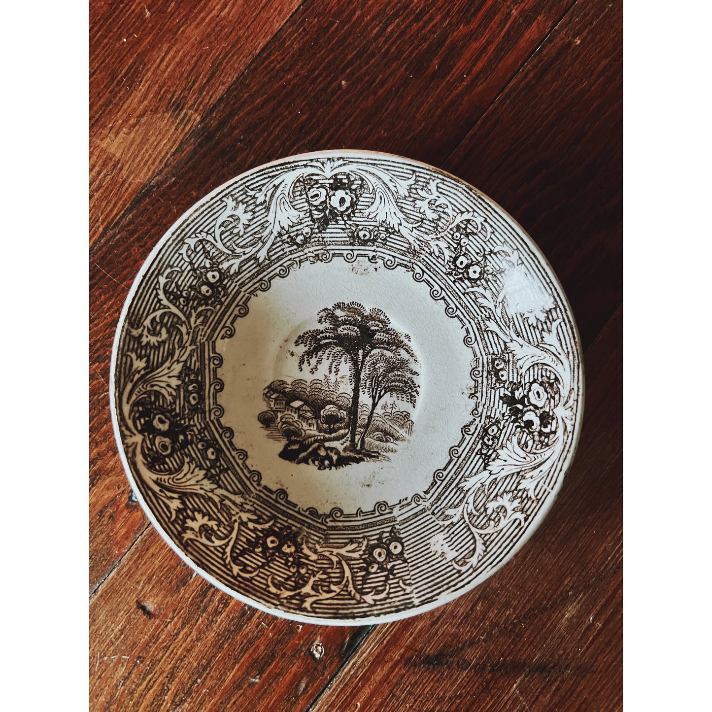 Wedgwood Windsor Teacup & Transferware Saucer