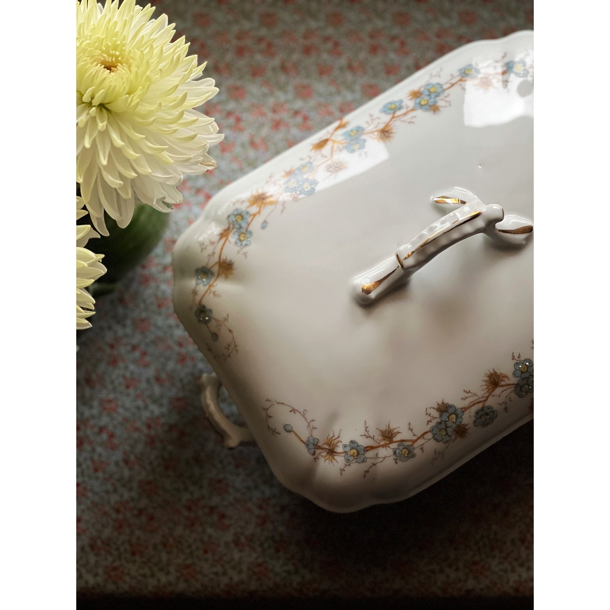 Hand Painted Vintage Altrohla Austria Covered Vegetable Dish / Tureen
