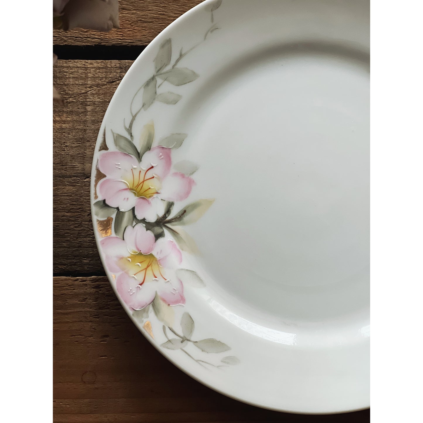 Vintage Set of 4 Hand Painted Nippon Salad Plates