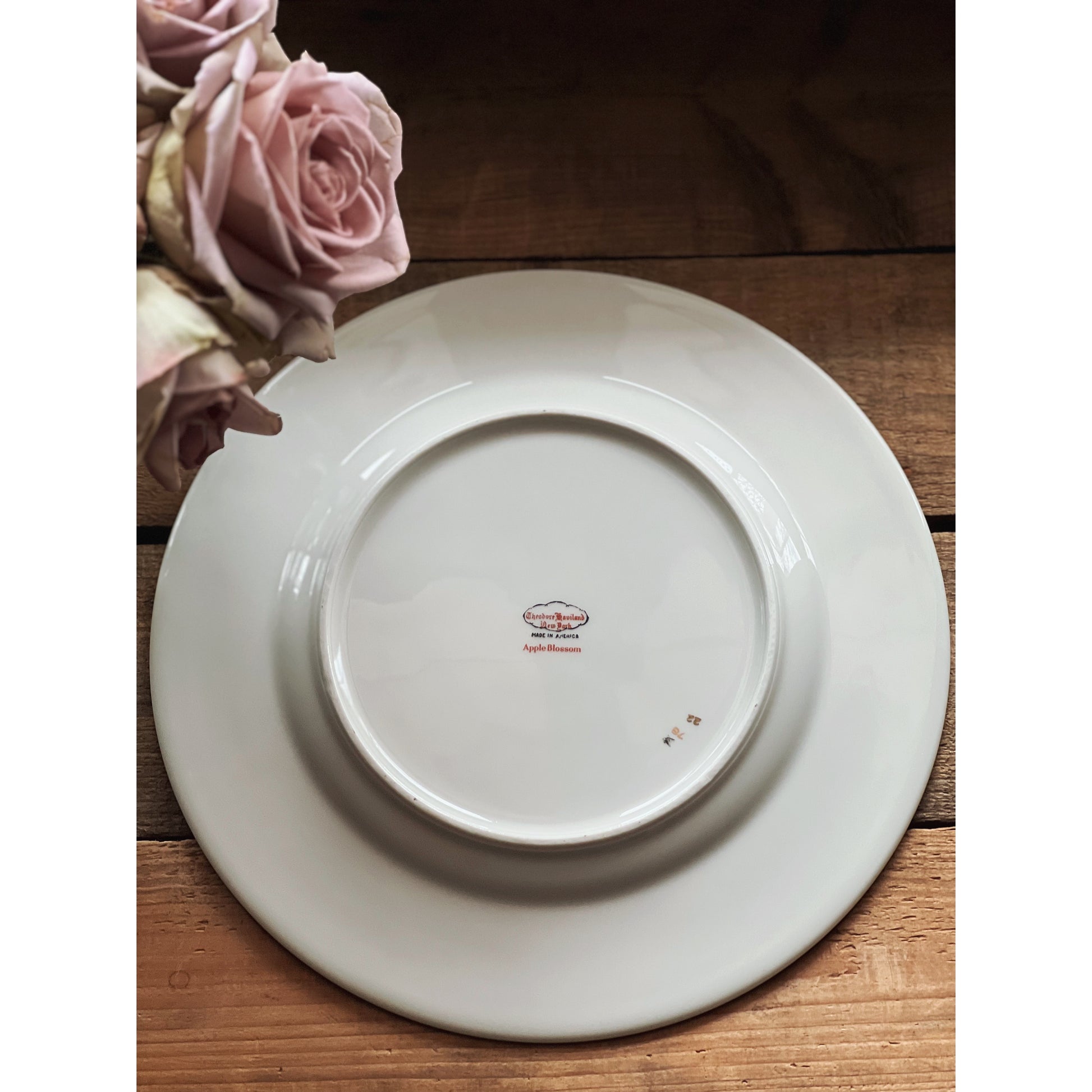 Set of 4 Vintage Theodore Haviland New York Apple Blossom Dinner Plates