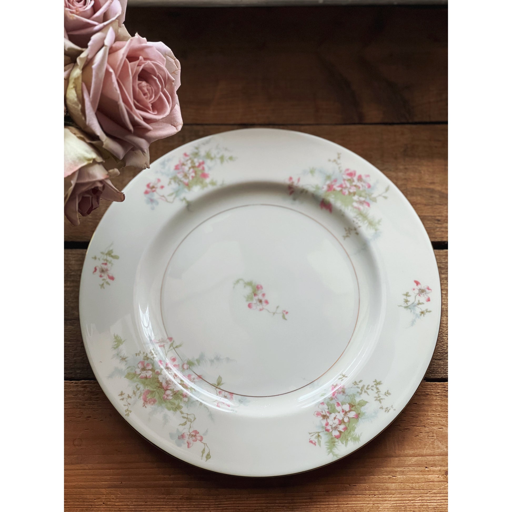 Set of 4 Vintage Theodore Haviland New York Apple Blossom Dinner Plates