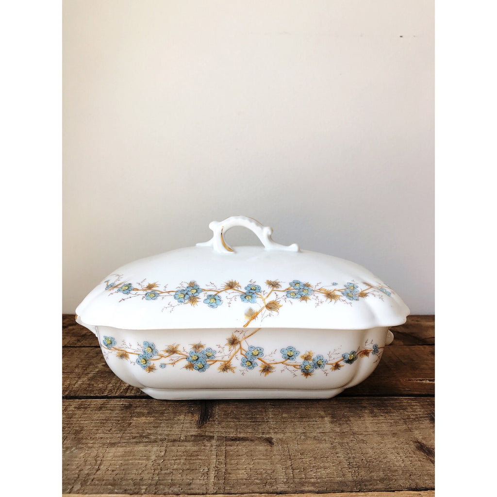 Hand Painted Vintage Altrohla Austria Covered Vegetable Dish / Tureen