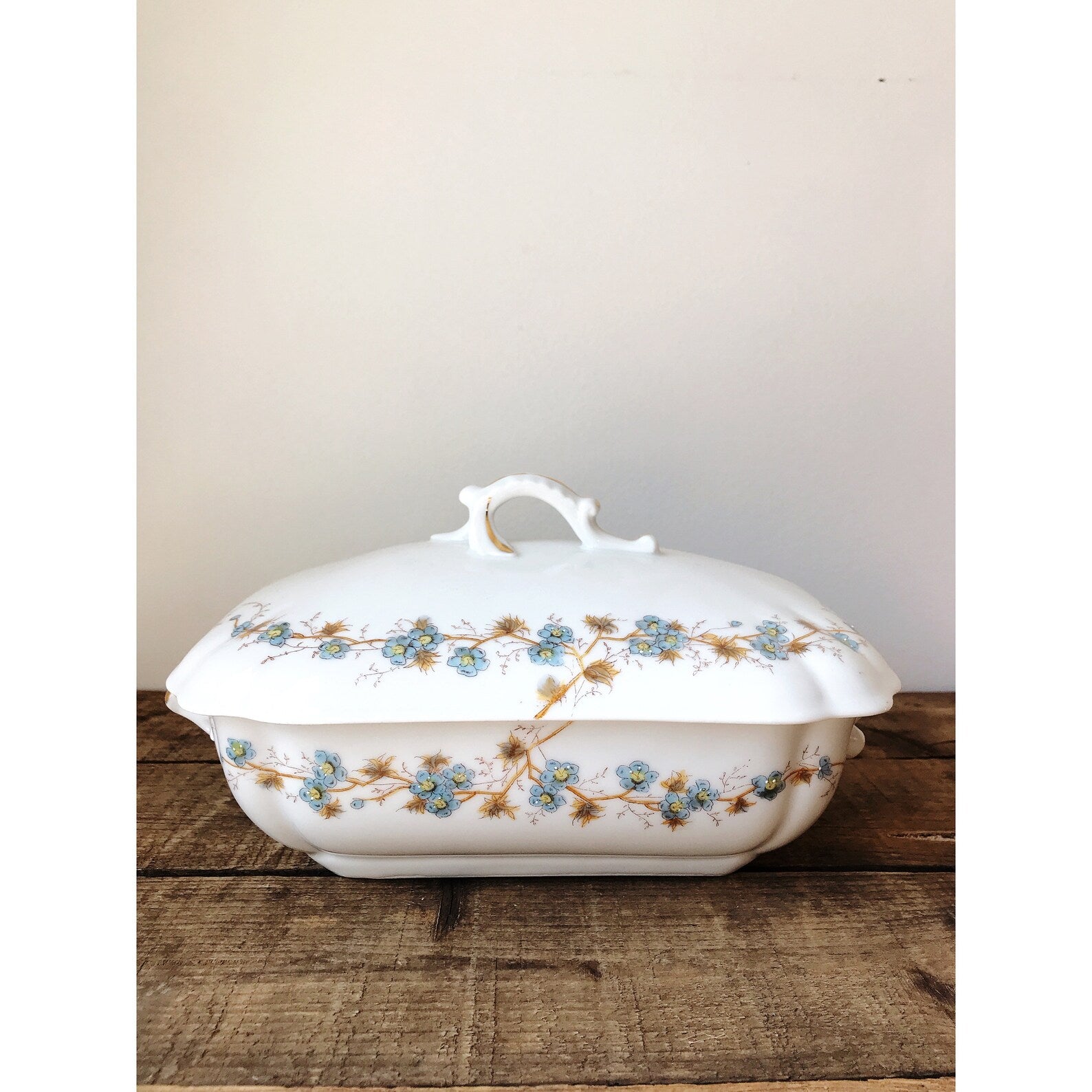 Hand Painted Vintage Altrohla Austria Covered Vegetable Dish / Tureen