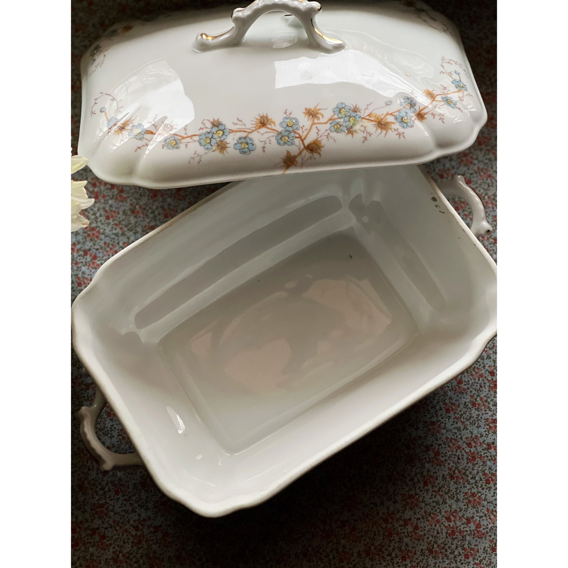 Hand Painted Vintage Altrohla Austria Covered Vegetable Dish / Tureen