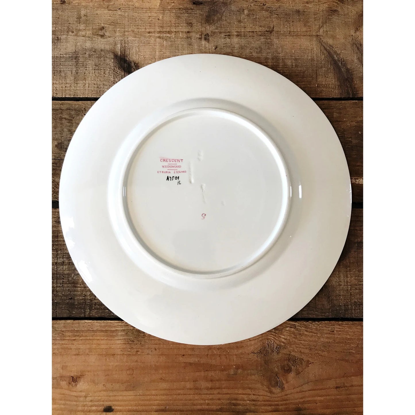 Vintage Wedgwood Crescent Dinner Plate