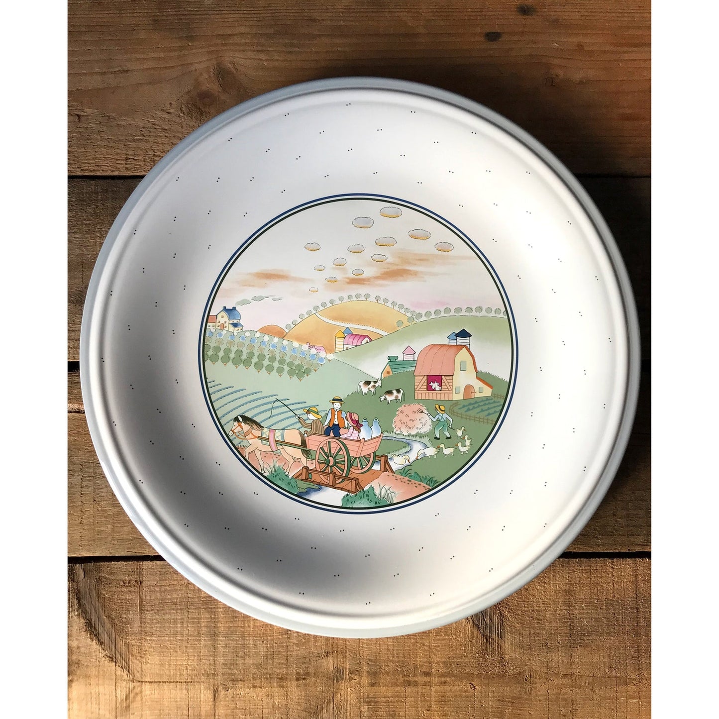 Savoir Vivre Hillsdale Dinner Plate