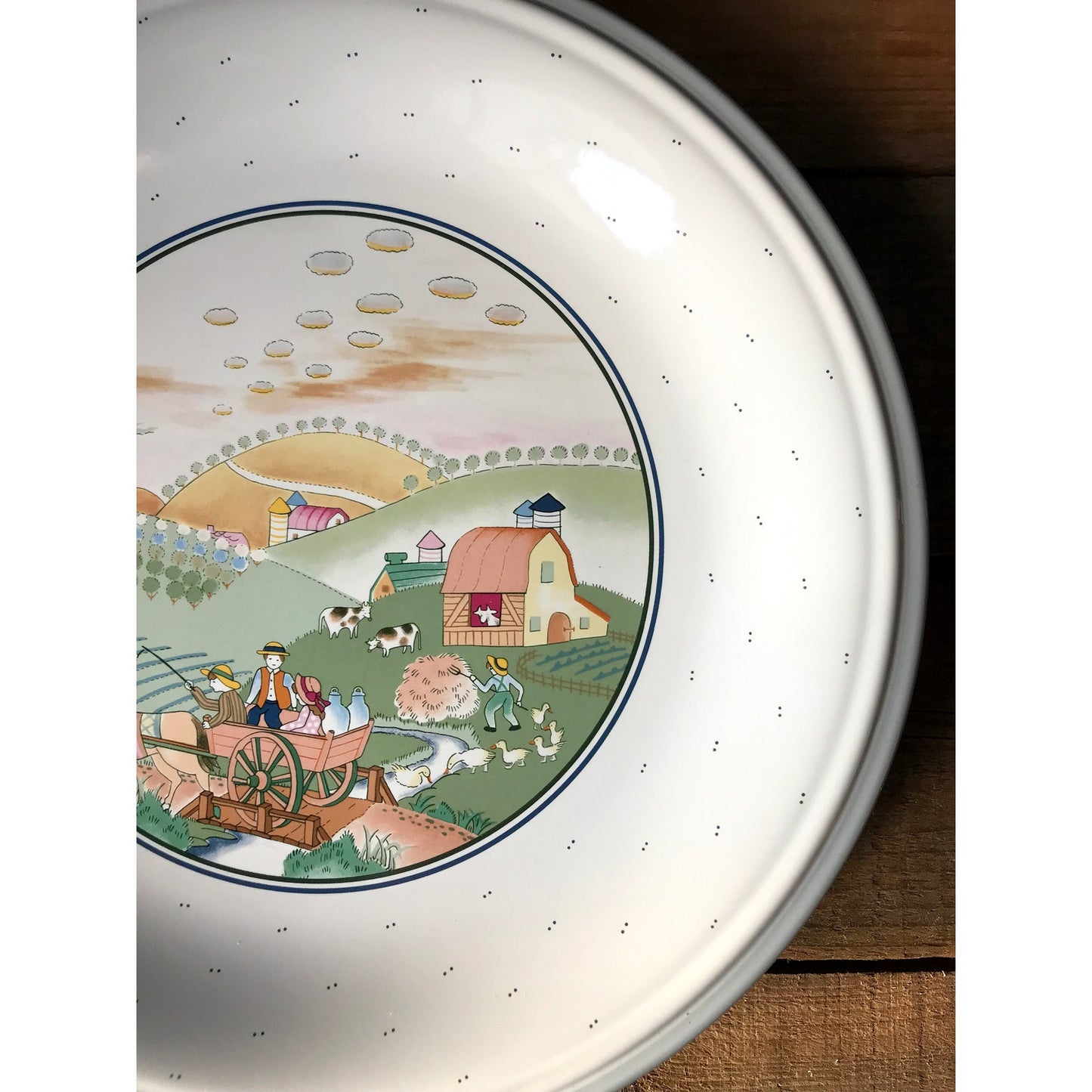 Savoir Vivre Hillsdale Dinner Plate