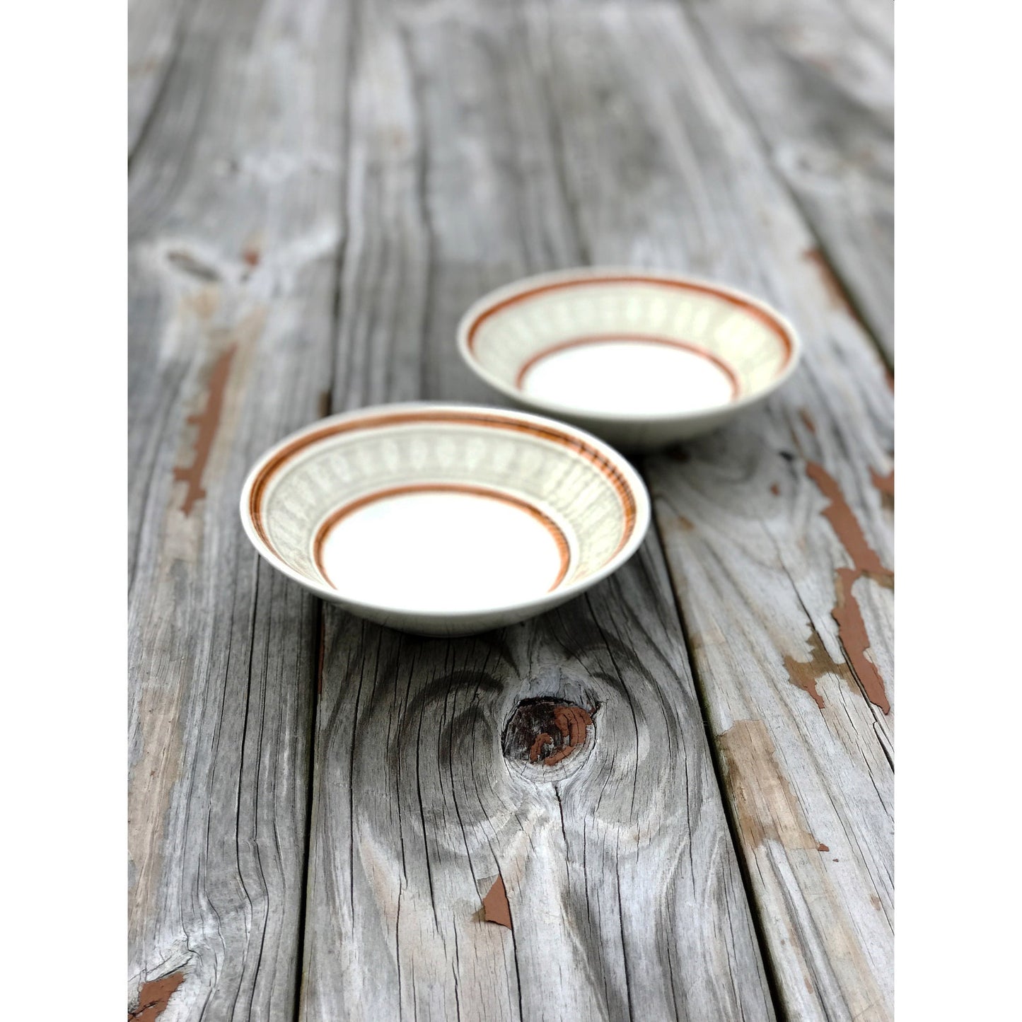 Set of 4 Royal China Ironstone Mozambique Cereal Bowls