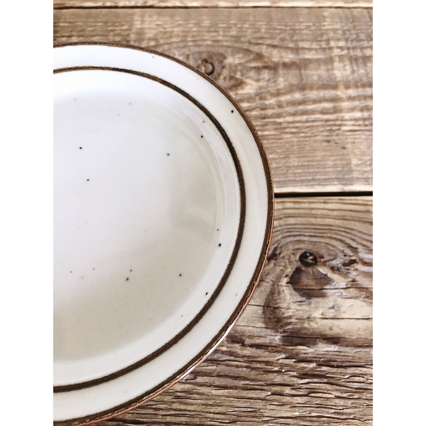 Trend Pacific Earthstone Stoneware Set of 5 Bread & Butter Plates